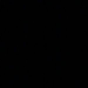 Meet your Posher, Ashton